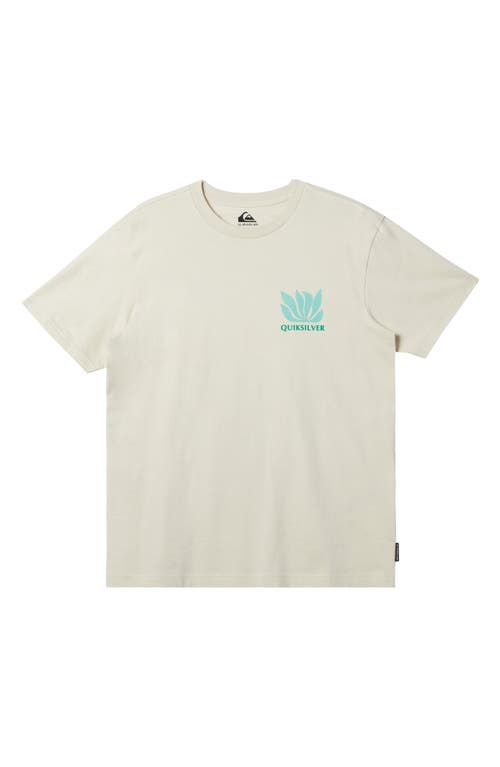 Shop Quiksilver Natural Forms Organic Cotton Graphic T-shirt In Silver Birch