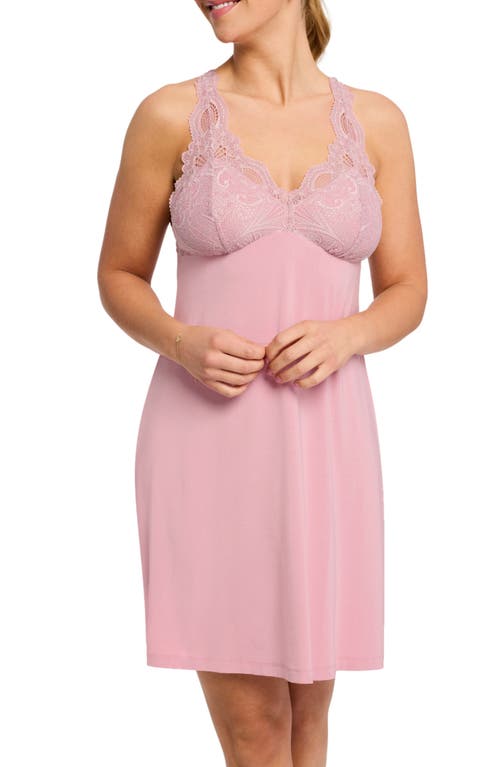 Belle Époque Lace Back Knit Chemise in Pink Nectar