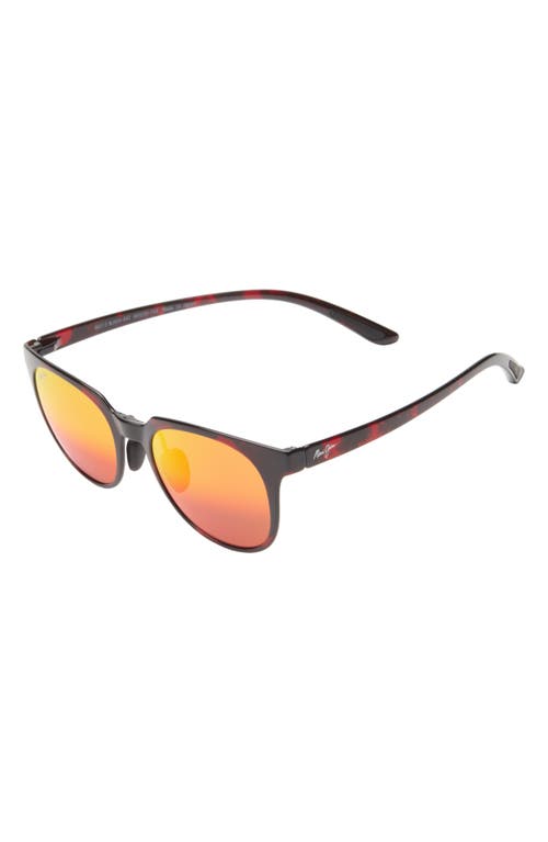Maui Jim 49mm Polarized Round Sunglasses In Red Tortoise Red Tortoise Lava