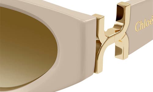Chloé Ch0259s Cat Eye Acetate Sunglasses In Ivory
