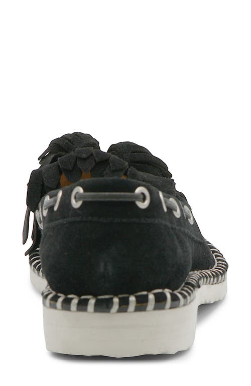 Charles David Poppy Kiltie Fringe Loafer In Black