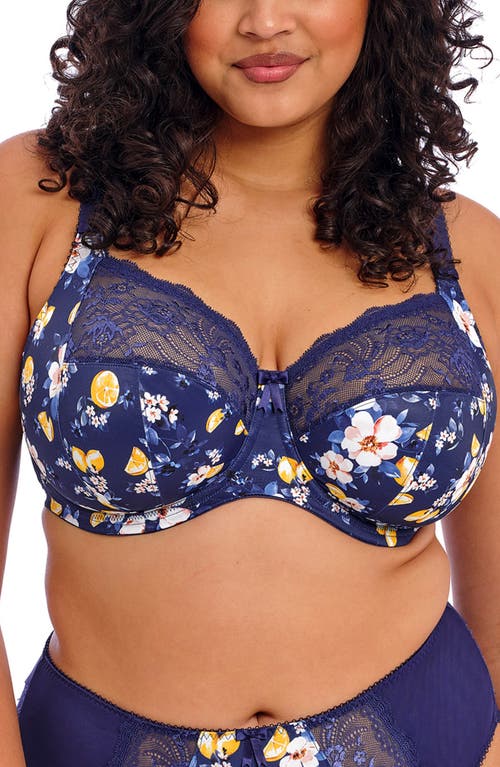 Shop Elomi Morgan Full Figure Underwire Bra In Sicilia Sia