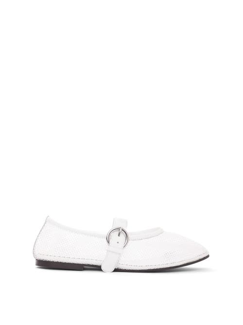 Shop Maguire Aveiro Ballerina In White