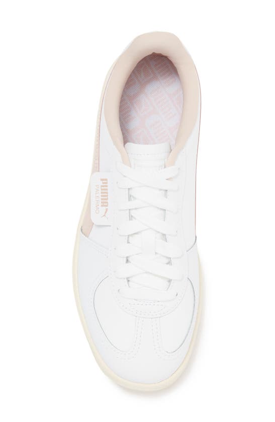 Shop Puma Palermo Sneaker In  White-sugared Almond
