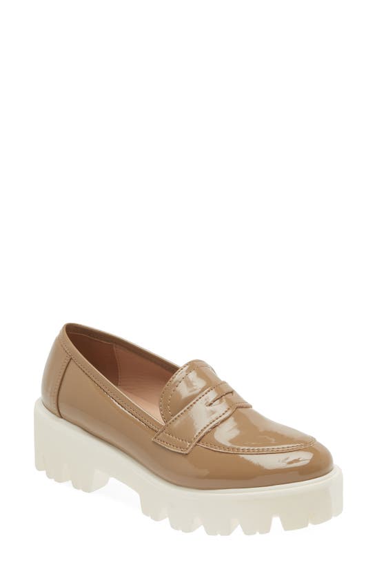 Cordani Audrey Platform Penny Loafer In Noce Patent | ModeSens