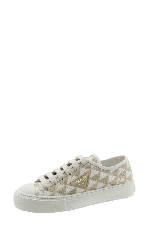 Shop Prada Triangle Jacquard Low Top Sneaker In Beige/white