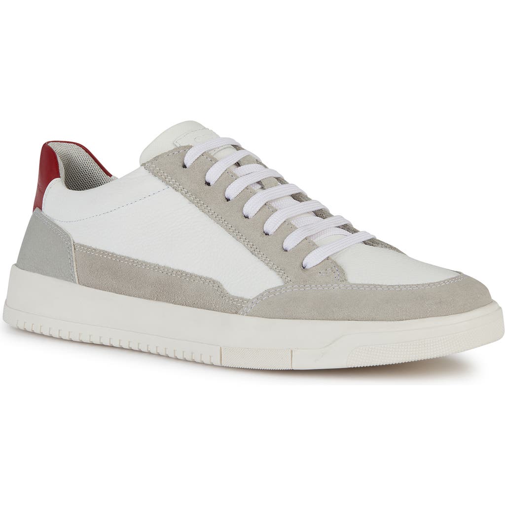 Geox Segnale Sneaker In White/grey