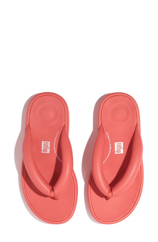 Shop Fitflop Iqushion D-luxe Flip Flop In Rosy Coral