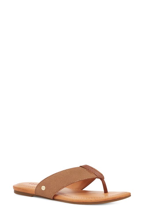 UGG(r) Carey Flip Flop in Chestnut
