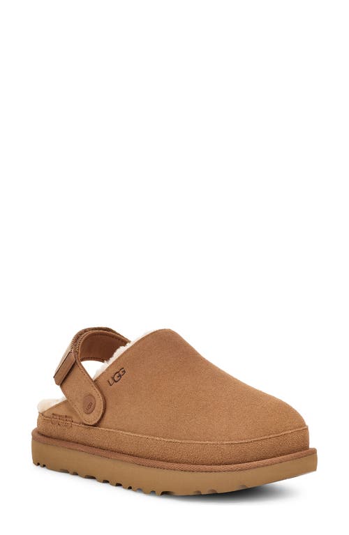 Shop Ugg(r) Goldenstar Cozy Clog In Chestnut