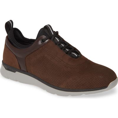 Johnston & Murphy Prentiss Waterproof Sneaker- Brown