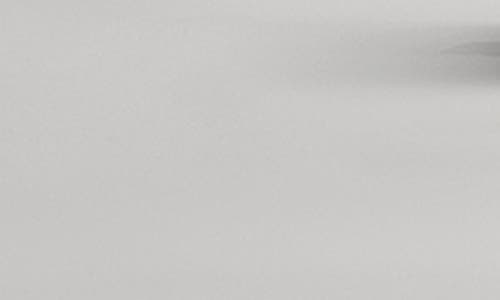 Ettika Large Thick Classic Hoops In Rhodium
