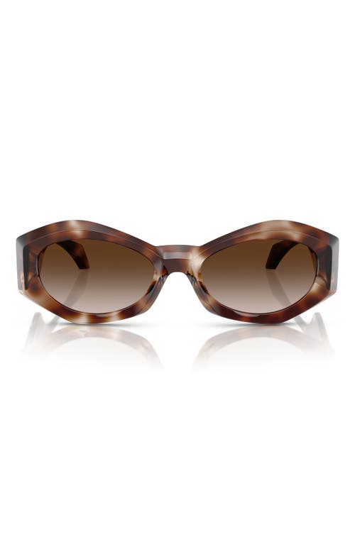 Versace 54mm Gradient Irregular Sunglasses in Havana at Nordstrom