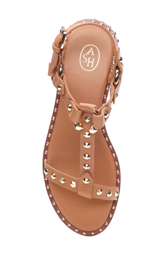 Shop Ash Patsy Studded Slingback Sandal In Cinnamon