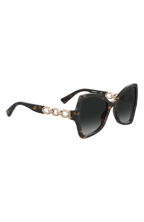 Shop Moschino 54mm Butterfly Sunglasses In Havana/grey Shaded
