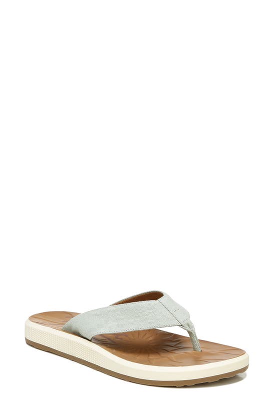 ZODIAC SUNNY FLIP FLOP,H5691F4