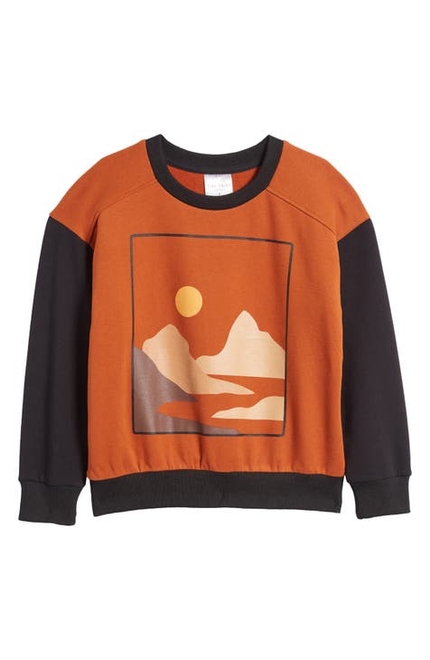 Houston Astros Nike Authentic Collection Game Raglan Performance Long Sleeve  T-Shirt - Orange