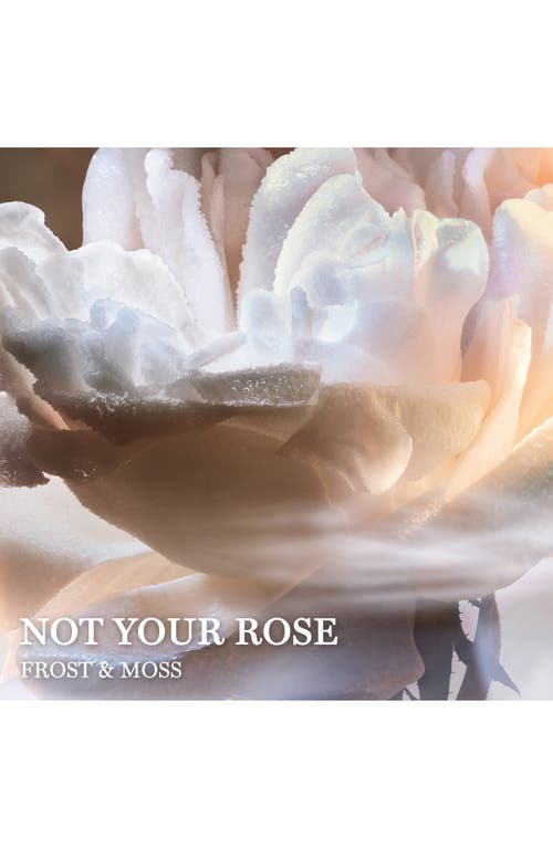 Lancôme Absolue Not Your Rose Eau De Parfum In No Color