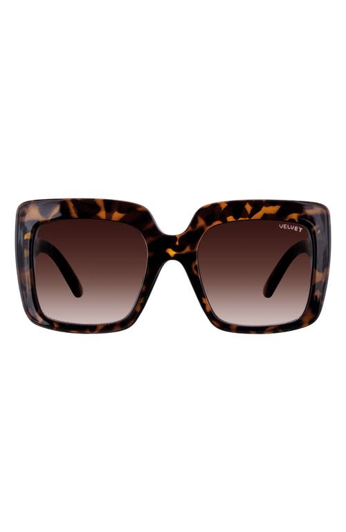Velvet Eyewear Gina 57mm Square Sunglasses in Tortoise at Nordstrom