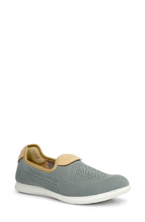 Antigua Slip-On Shoe in Grey