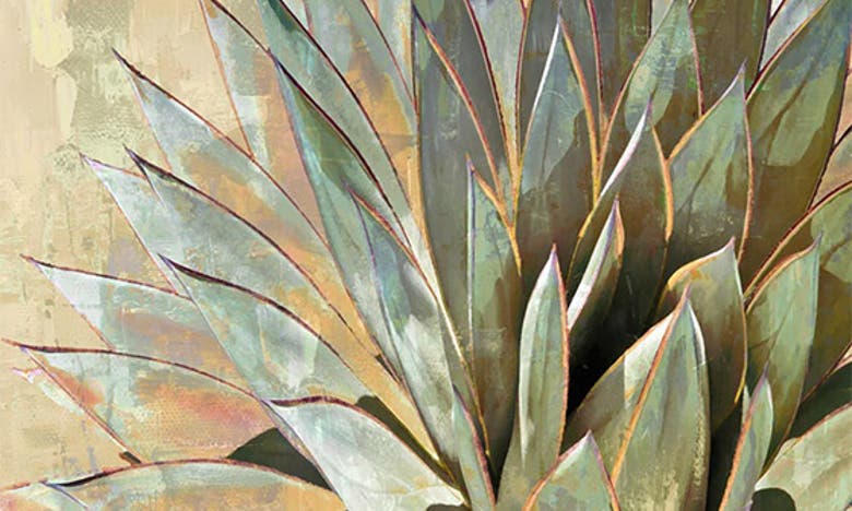 Icanvas Succulent I By Lindsay Benson Canvas Wall Art In Green Flora