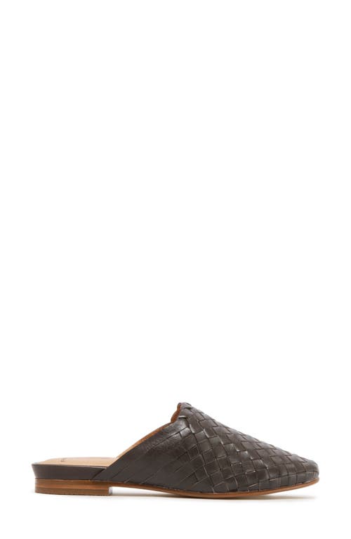 Frankie4 Wallace Mule In Chocolate