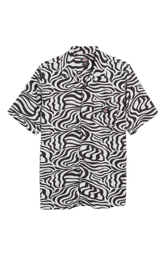 Dickies Zebra Stripe Short Sleeve Button-up Camp Shirt In Black + White ...