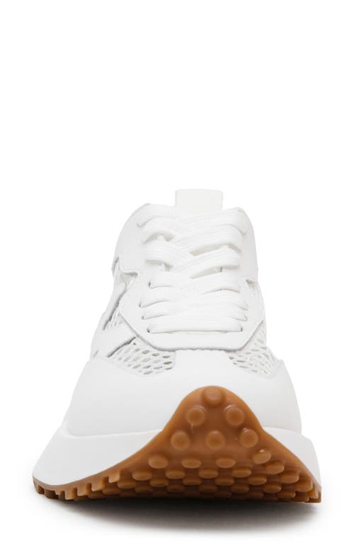 Shop Steve Madden Campo Sneaker In White Mesh