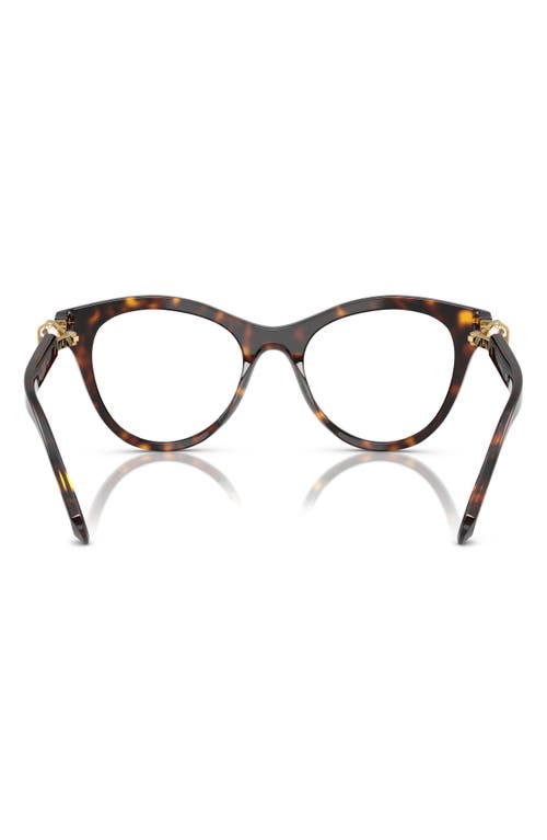 Swarovski 52mm Round Optical Glasses In Dark Havana