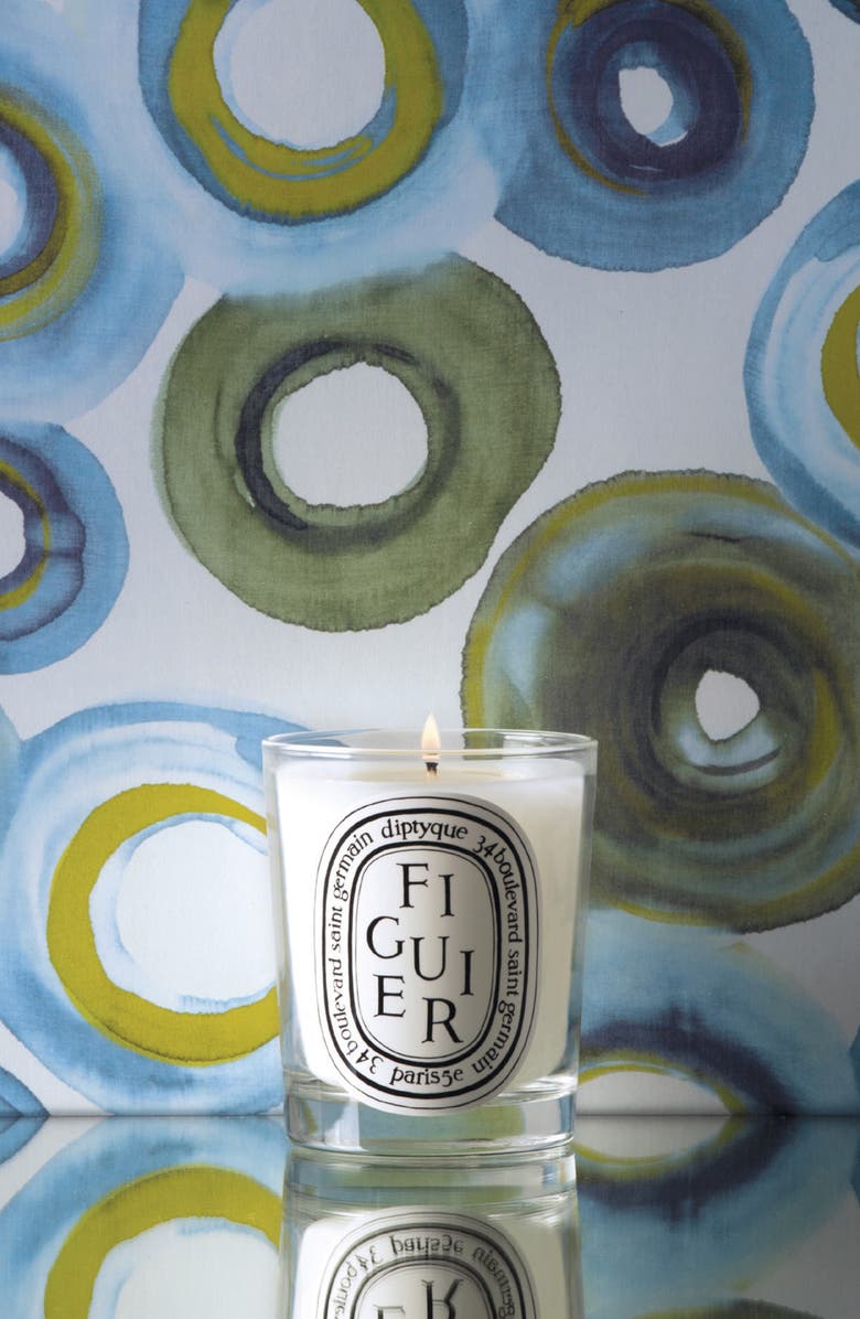 Diptyque Figuier (Fig Tree) Scented Indoor & Outdoor Candle, Alternate, color, Green Vessel