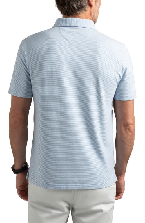 Hypernatural Pinehurst Classic Fit Cotton Blend Golf Polo In Blue Jay/white