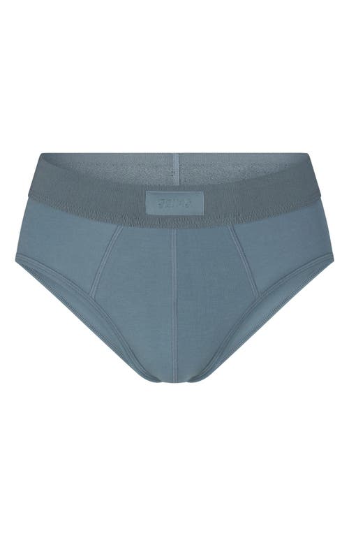 Shop Skims Cotton & Modal Blend Briefs In Kyanite