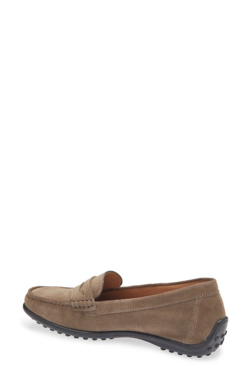 Shop The Flexx Winter Penny Loafer In Almond