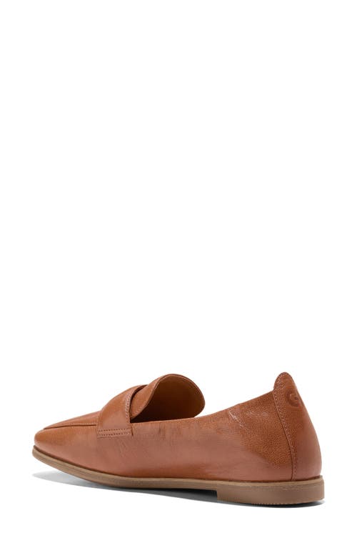 Shop Cole Haan Trinnie Loafer In British