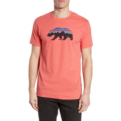 Patagonia Fitz Roy Bear Organic Cotton Crewneck T-Shirt