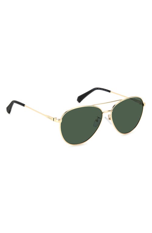 Polaroid 60mm Polarized Aviator Sunglasses In Gold Green/green Polarized