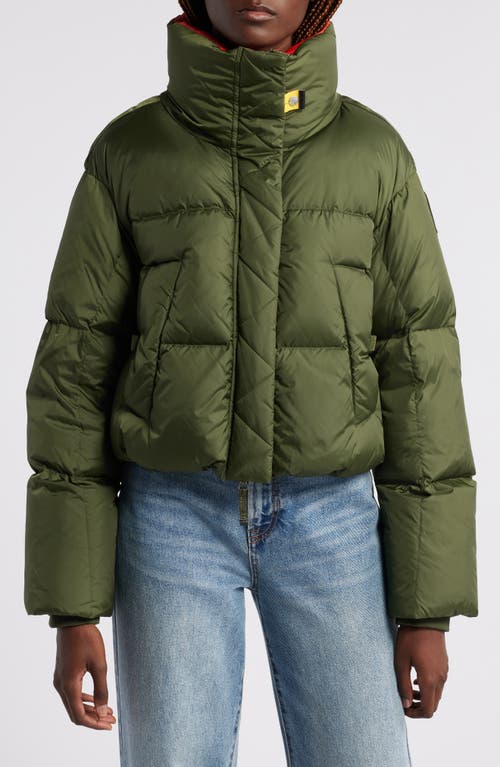 Parajumpers Cecy Quilted Down Puffer Coat in Medium Green 