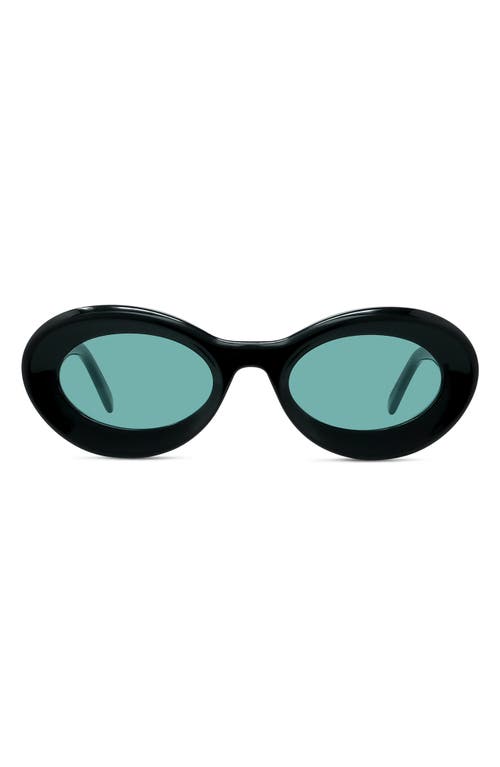 Loewe x Paula's Ibiza Small 50mm Oval Sunglasses in Shiny Black /Blue at Nordstrom