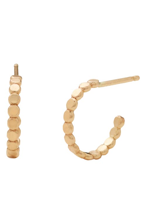 MADE BY MARY Poppy Hoop Earrings in Gold at Nordstrom