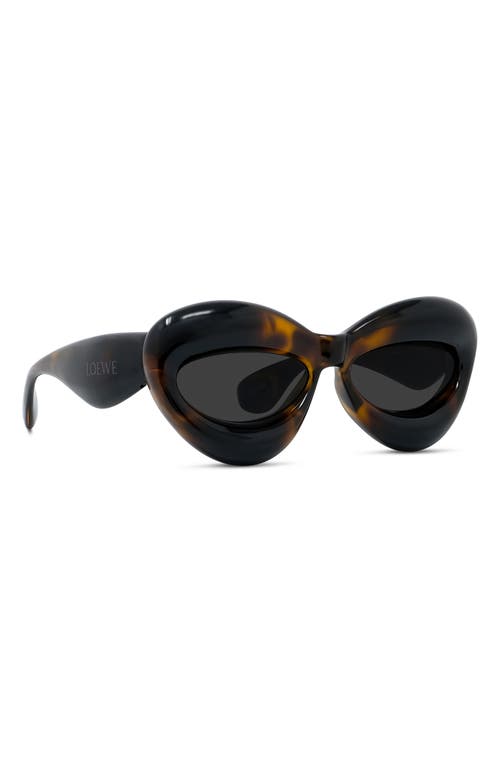 Shop Loewe 55mm Cat Eye Sunglasses In Dark Havana/smoke