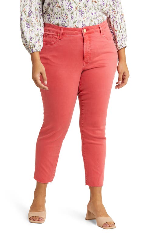 KUT from the Kloth Reese High Waist Raw Hem Straight Leg Ankle Jeans Strawberry at Nordstrom,