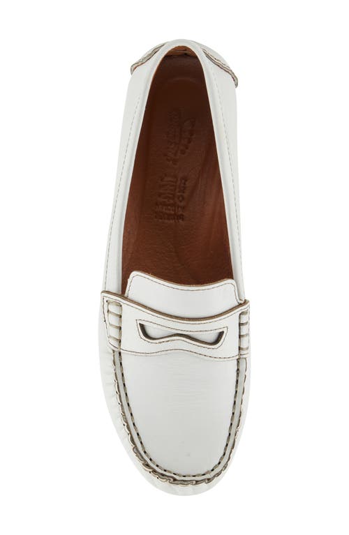 Shop Spring Step Audette Penny Loafer In White