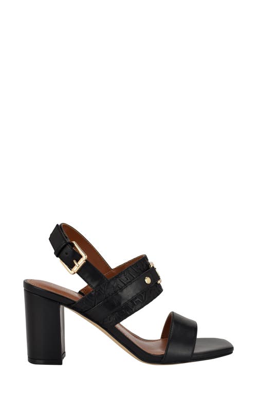 Shop Tommy Hilfiger Sylvier Slingback Sandal In Black