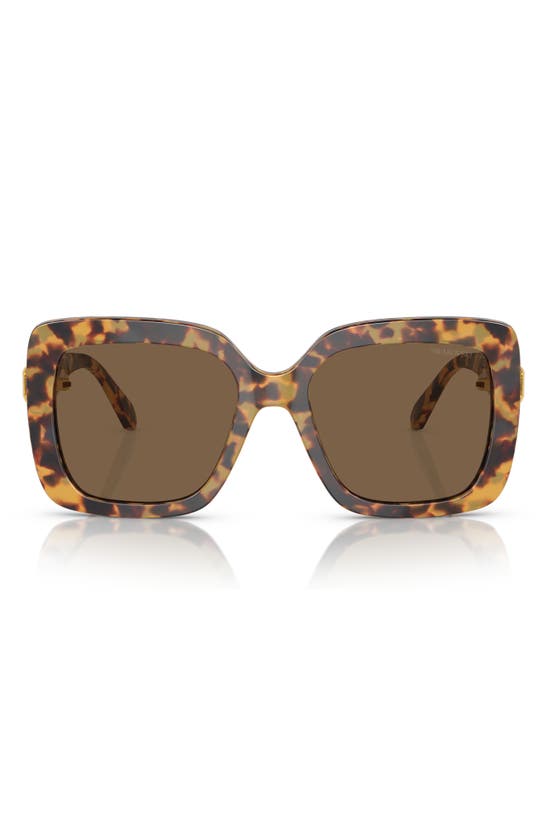 Swarovski 55mm Square Sunglasses In Lite Havana