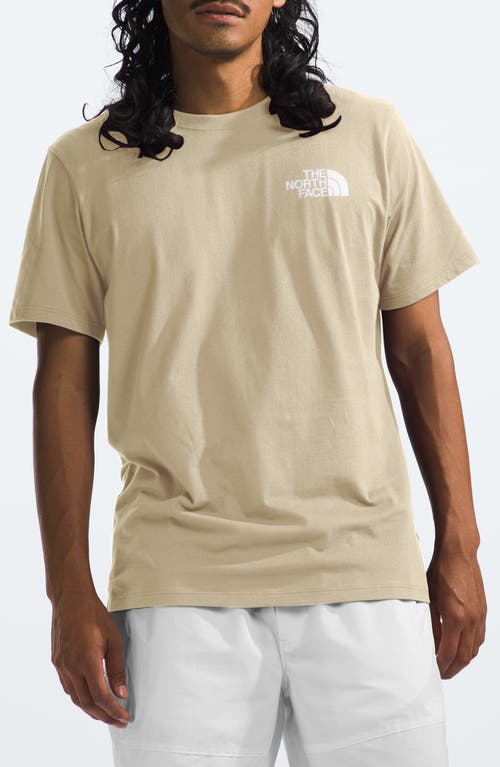 NSE Box Logo Graphic T-Shirt in Gravel/Tnf Black