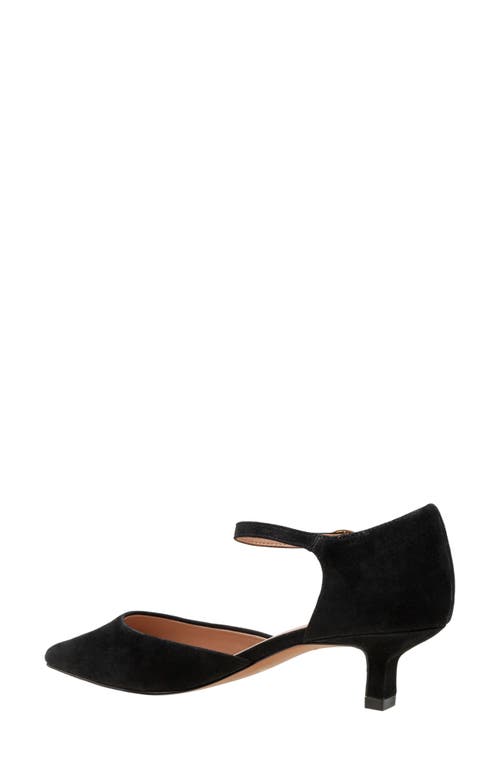 Linea Paolo Carey Ankle Strap Pointed Toe Pump In Black