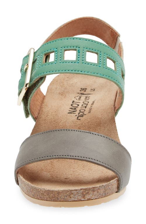 Shop Naot Dynasty Wedge Sandal In Grey/jade/ivory Leather