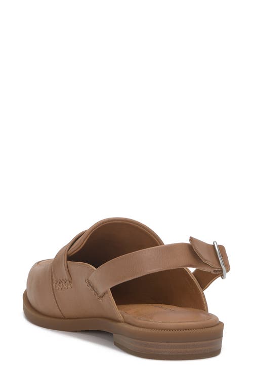 Shop Lucky Brand Louissa Slingback Loafer In Latte