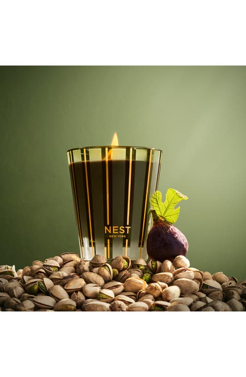 Shop Nest New York Pistachio Wild Fig Scented Candle In Green