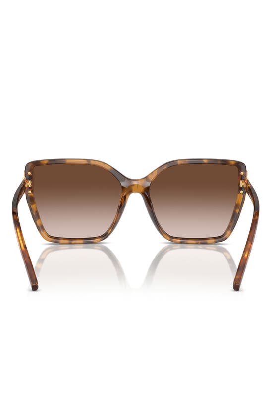 Shop Tory Burch 58mm Eleanor Square Sunglasses In Tortoise